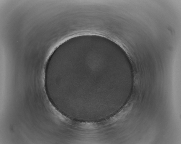 X0000110731508200906191515