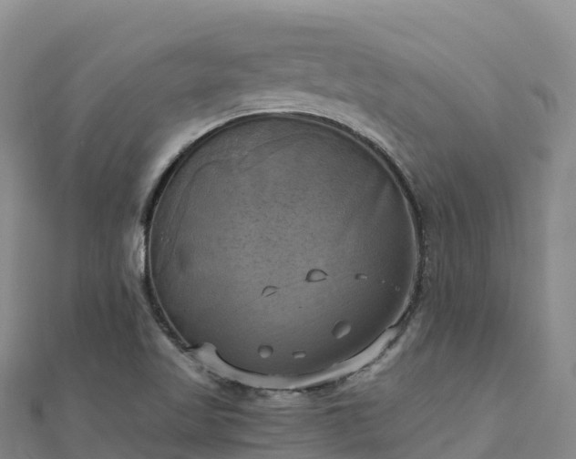 X0000110731509200906191515