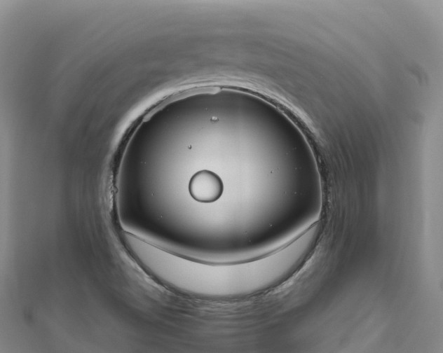 X0000110731510200906191515