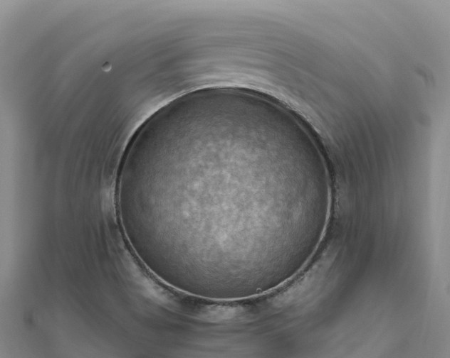 X0000110731513200906191516