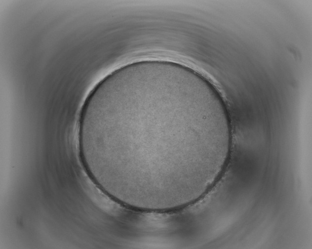 X0000110731514200906191516