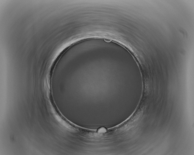 X0000110731515200906191516