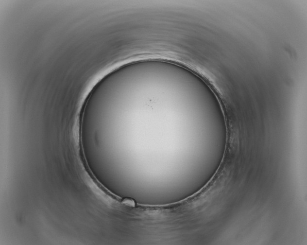 X0000110731516200906191516