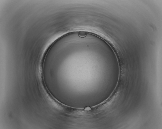 X0000110731517200906191516