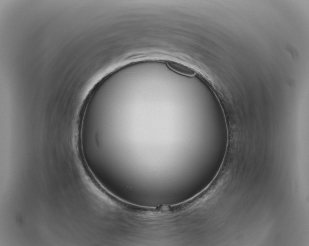 X0000110731518200906191516