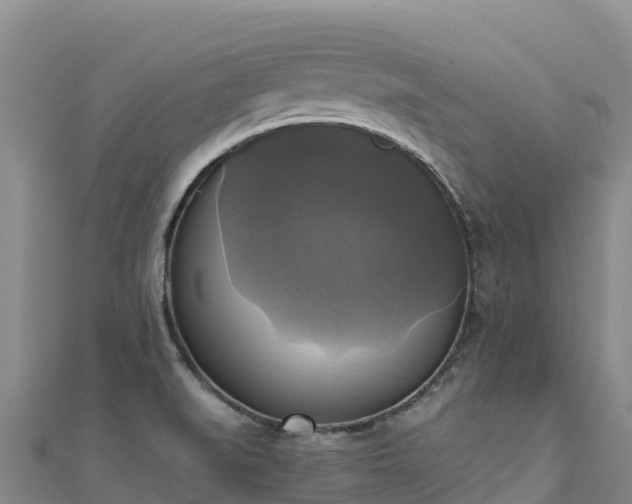 X0000110731519200906191516