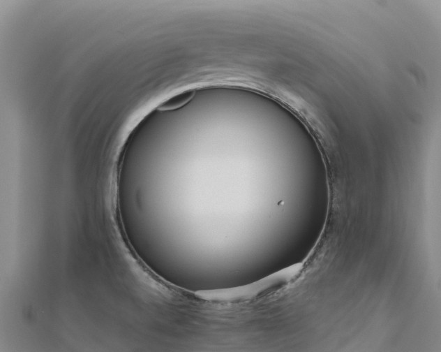 X0000110731520200906191516