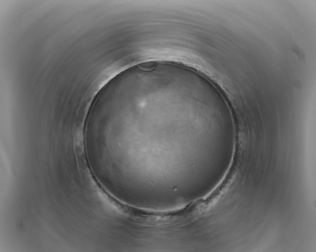 X0000110731521200906191516
