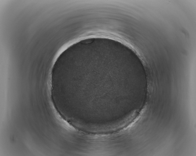 X0000110731522200906191516
