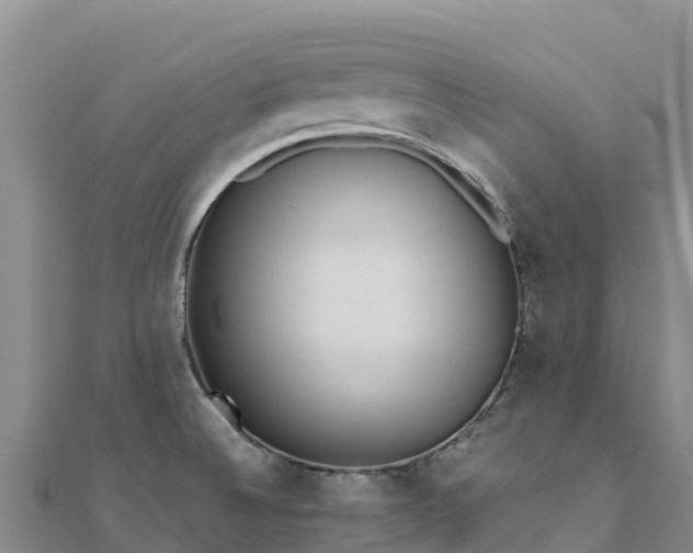 X0000110731524200906191516