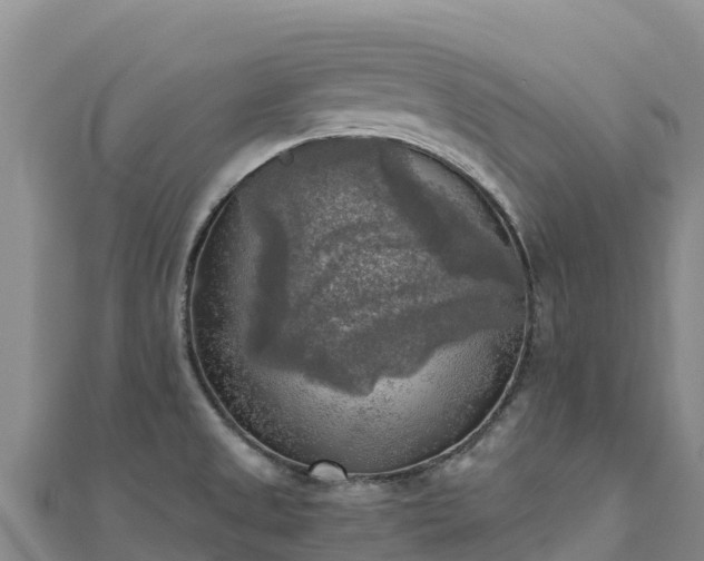 X0000110731525200906191516