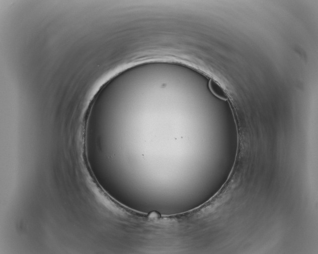 X0000110731526200906191516