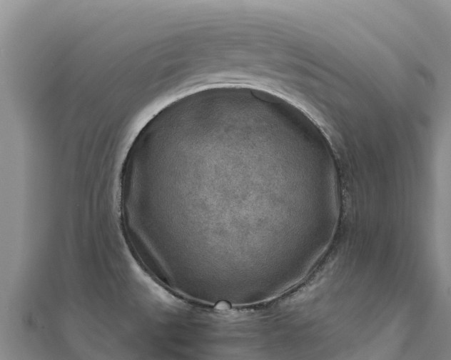 X0000110731527200906191516