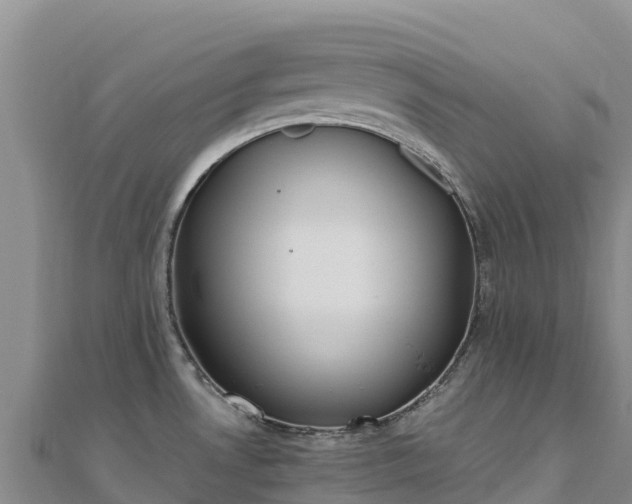 X0000110731530200906191516