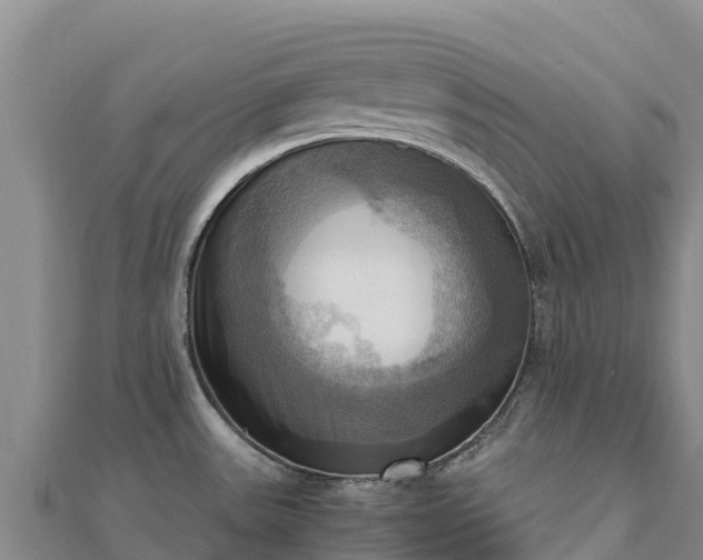 X0000110731531200906191516