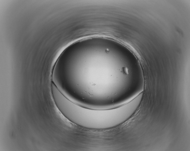 X0000110731532200906191516