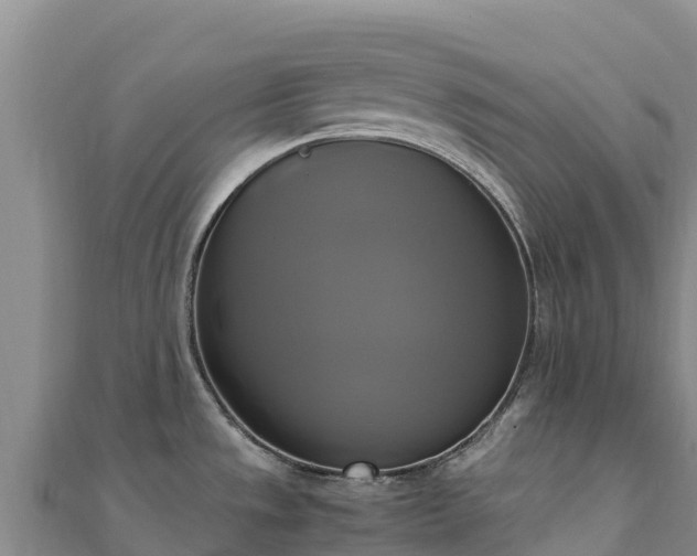 X0000110731533200906191516