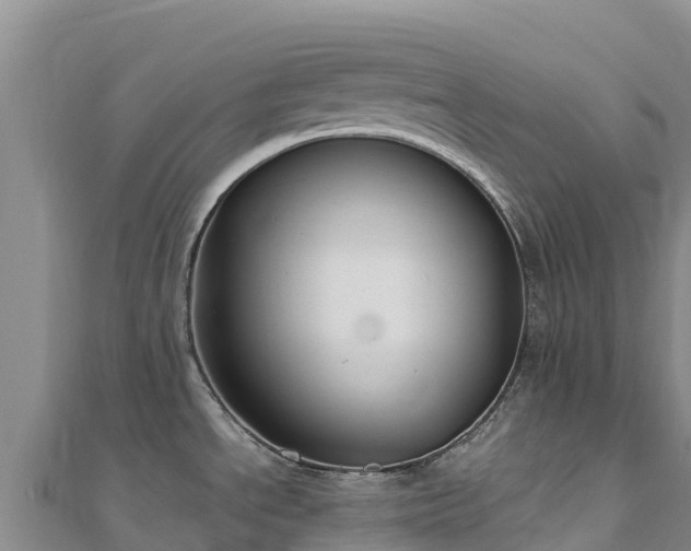 X0000110731534200906191516