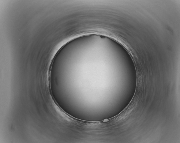 X0000110731535200906191516