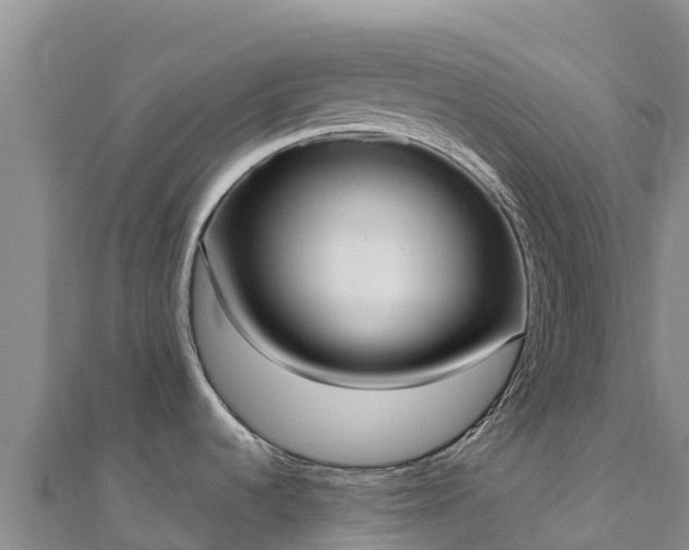 X0000110731536200906191516