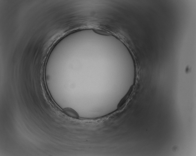 X0000110730001200906261529