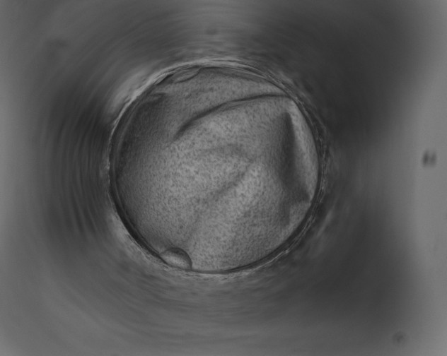 X0000110730002200906261529