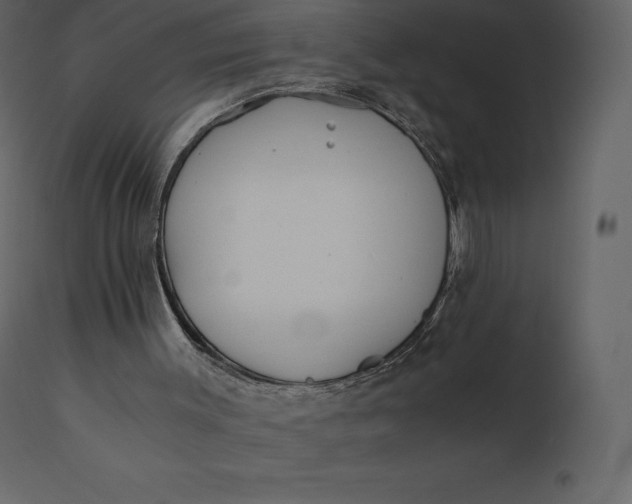 X0000110730003200906261529