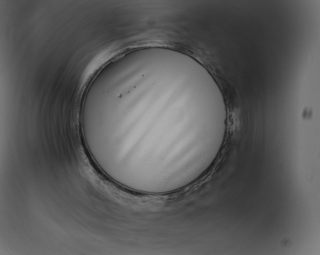 X0000110730004200906261529