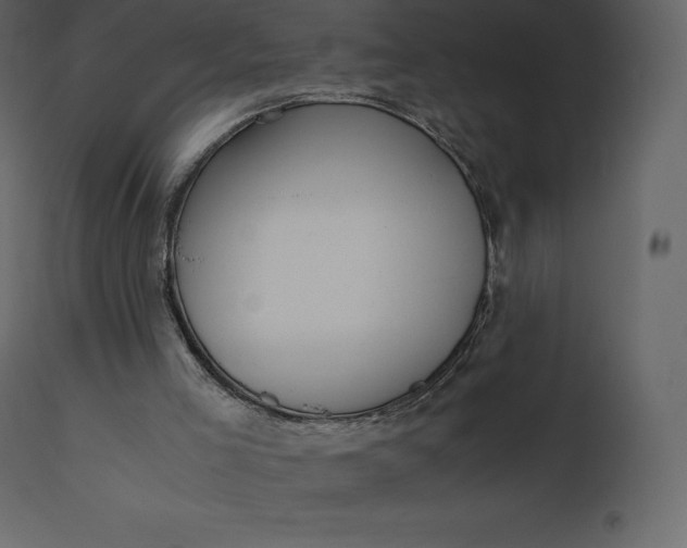 X0000110730005200906261529