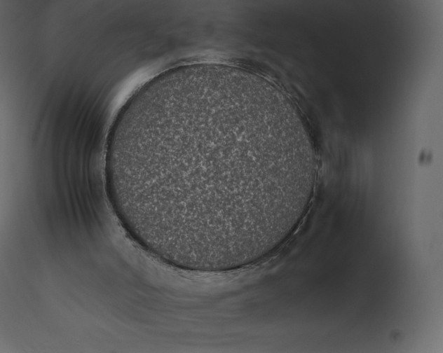 X0000110730006200906261529