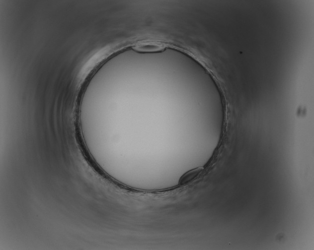 X0000110730007200906261529