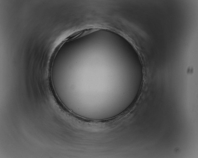 X0000110730008200906261529