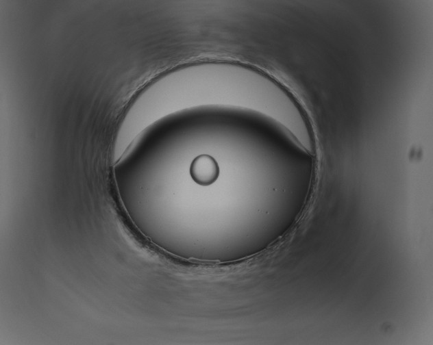 X0000110730009200906261529