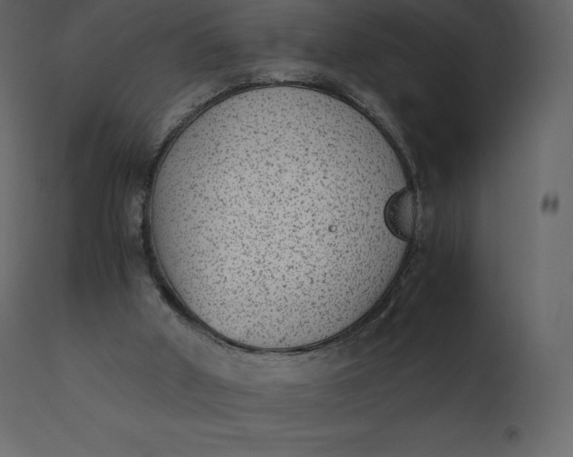 X0000110730010200906261529