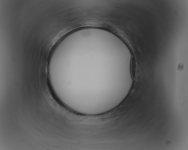 X0000110730011200906261529