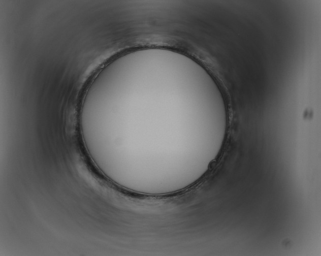 X0000110730012200906261529