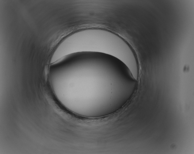 X0000110730013200906261529