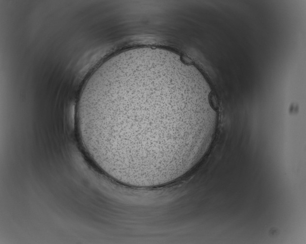 X0000110730014200906261529