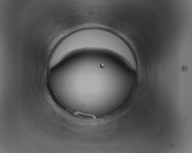 X0000110730015200906261529