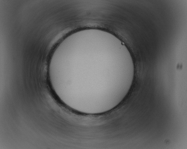 X0000110730016200906261529