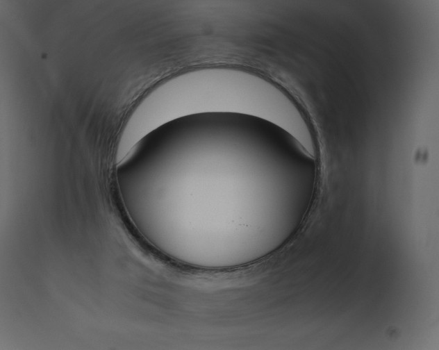 X0000110730017200906261529