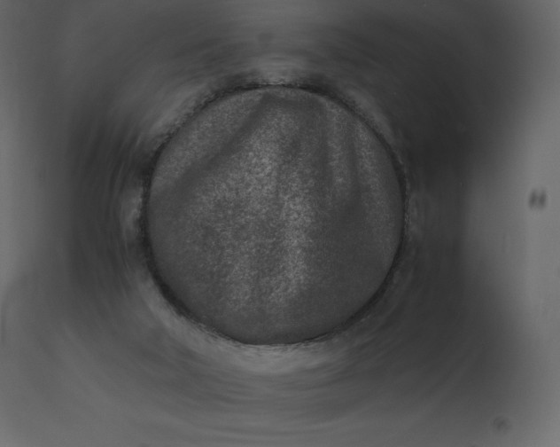 X0000110730018200906261529