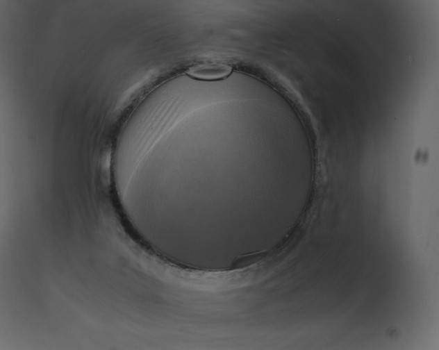 X0000110730019200906261529