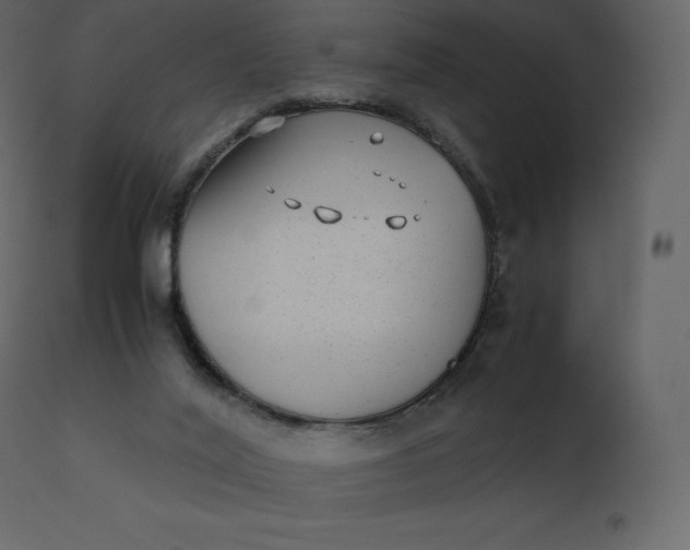 X0000110730020200906261529