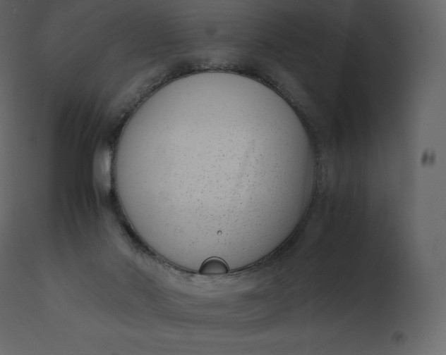 X0000110730022200906261529