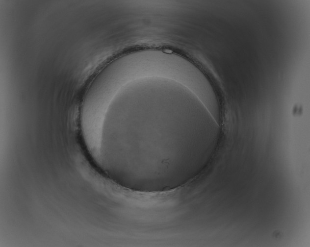 X0000110730023200906261529