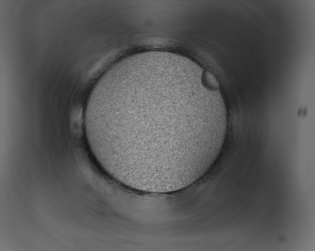 X0000110730024200906261529