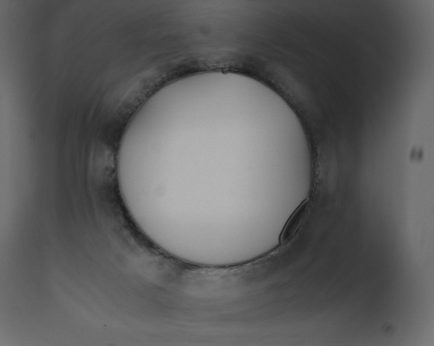 X0000110730025200906261529