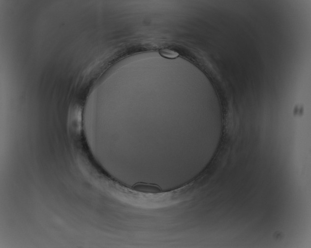 X0000110730027200906261529