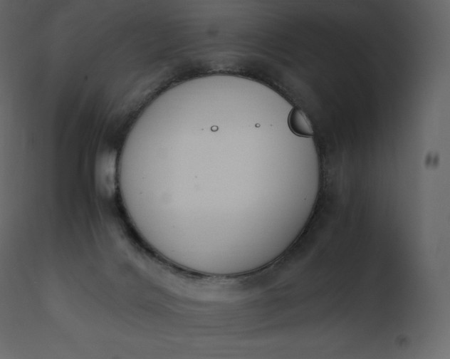 X0000110730028200906261529